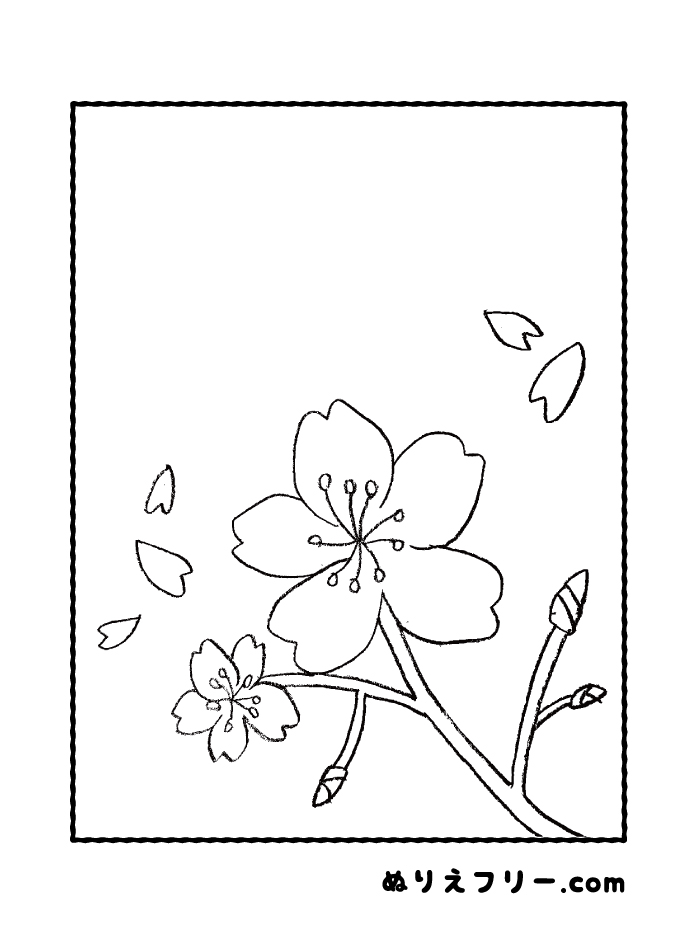 桜 ぬりえフリー Com